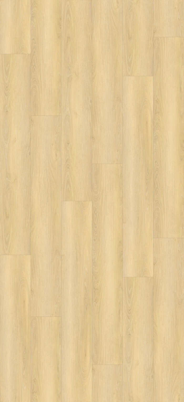 SP01 Plank