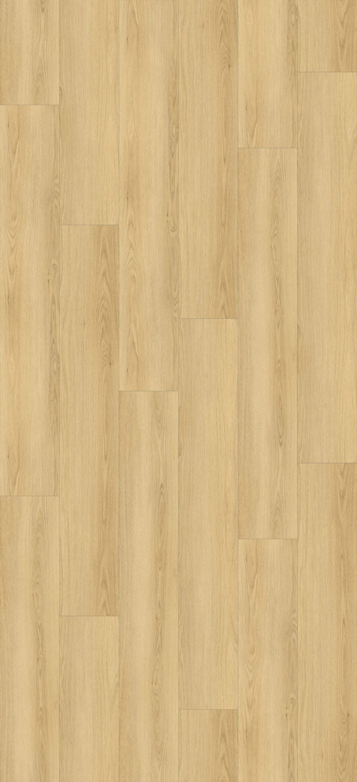 SP02 Plank