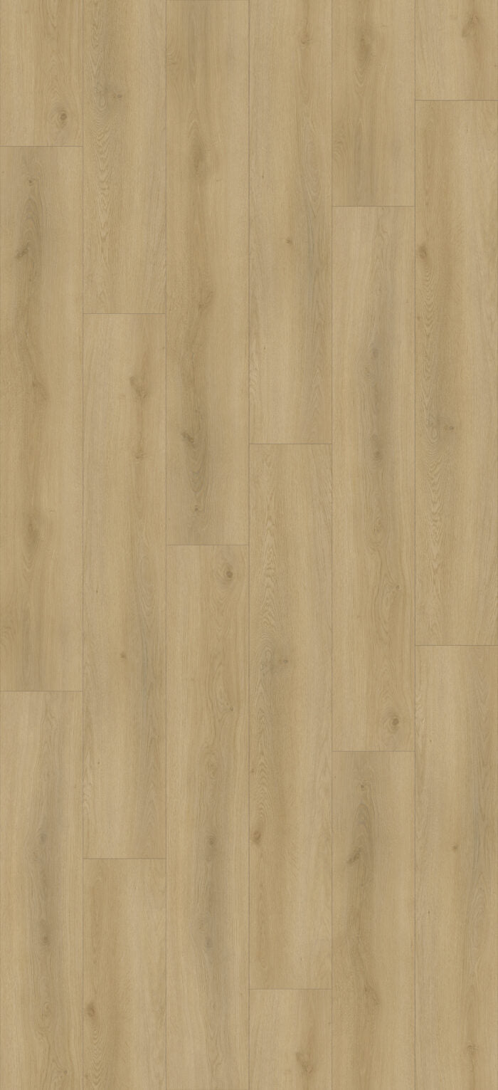 SP03 Plank