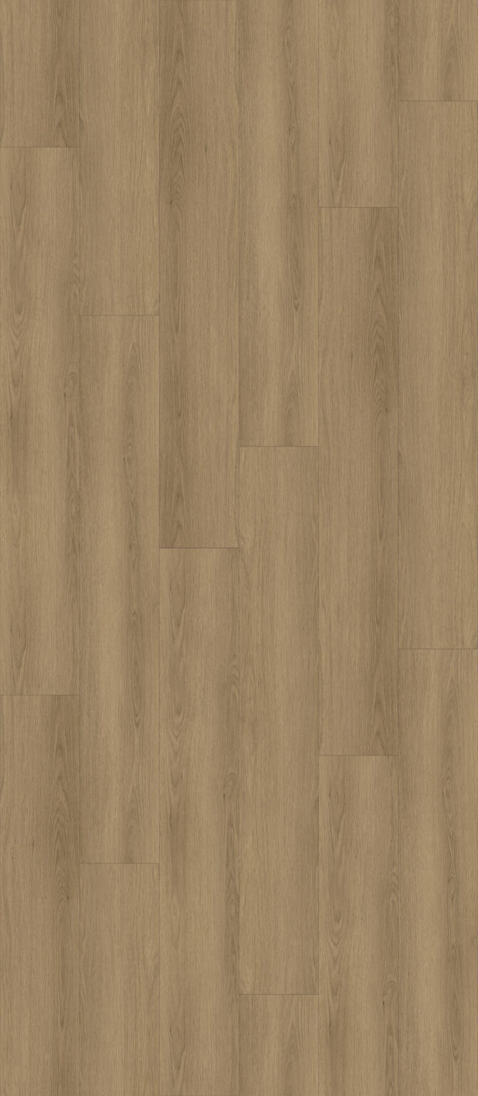 SP05 Plank