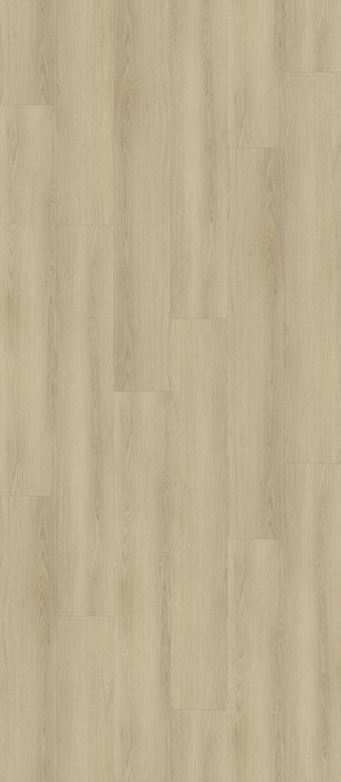 SP06 Plank