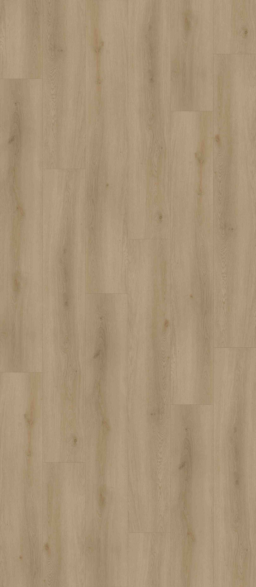 SP07 Plank