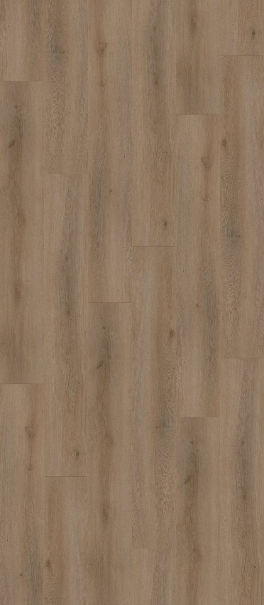 SP08 Plank